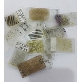 Petrographic Thin Section Preparation