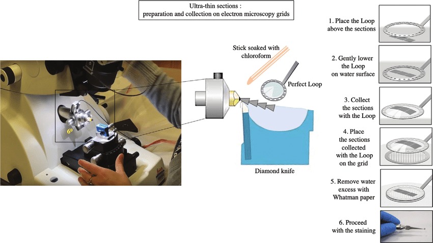 preparing microscopic thin sections